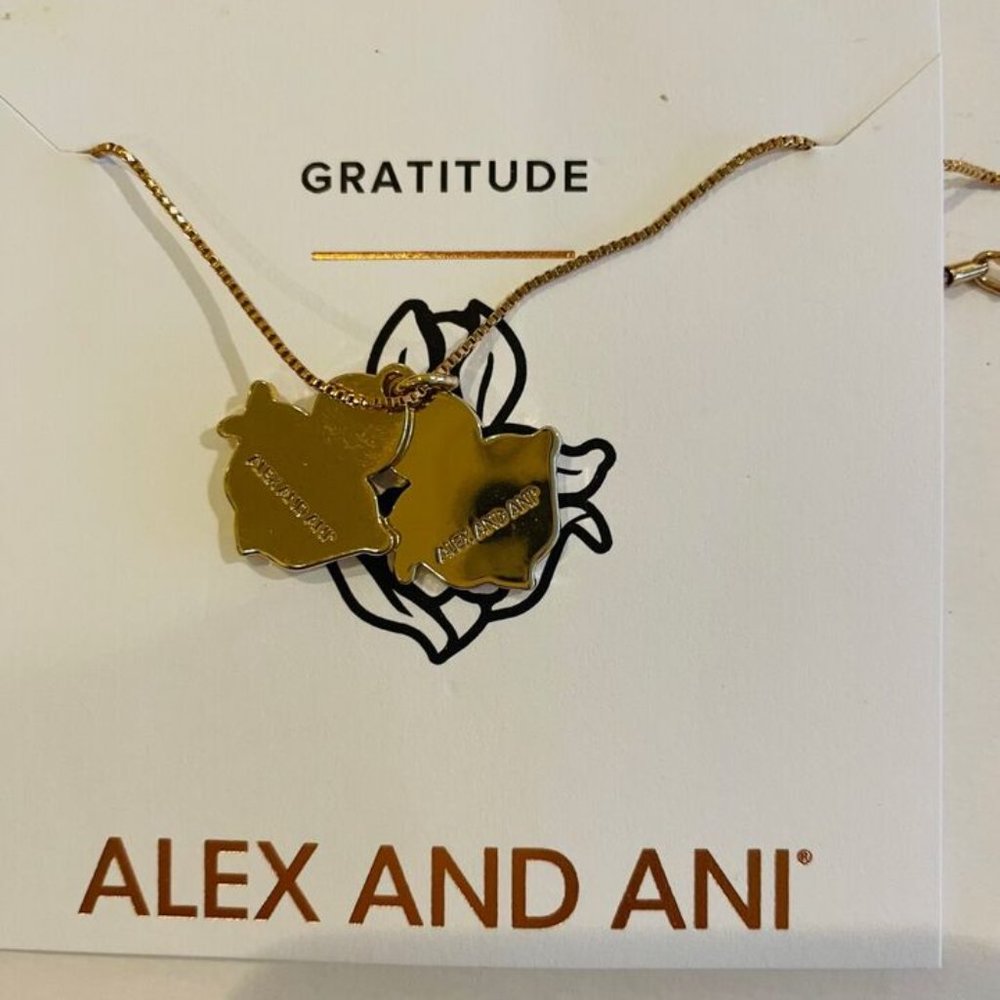 Alex and Ani Iris/Friendship charm Gold Plated Necklace 18" Adjustable - Picture 4 of 5
